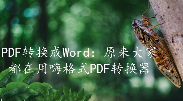 PDF转换成Word：原来大家都在用嗨格式PDF转换器