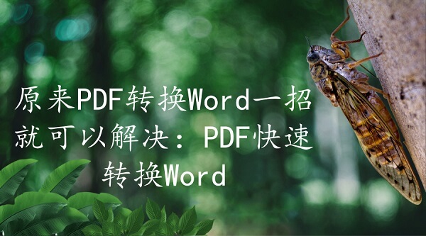 原来PDF转换Word一招就可以解决：PDF快速转换Word