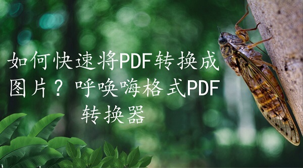 如何快速将PDF转换成图片？呼唤嗨格式PDF转换器
