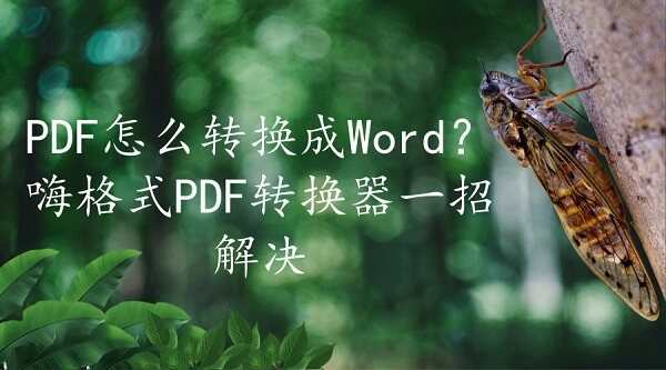 PDF怎么转换成Word？嗨格式PDF转换器一招解决