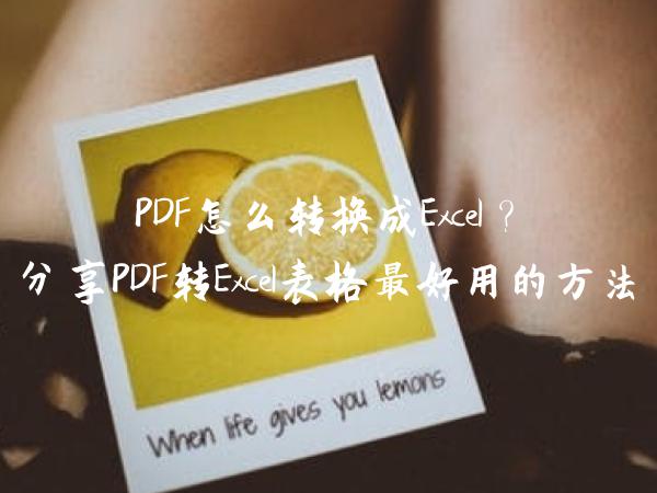 PDF怎么转换成Excel？分享PDF转Excel表格最好用的方法