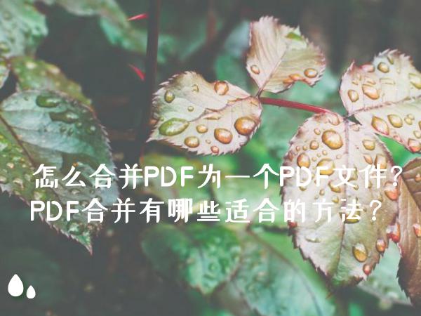 怎么合并PDF为一个PDF文件？PDF合并有哪些适合的方法？