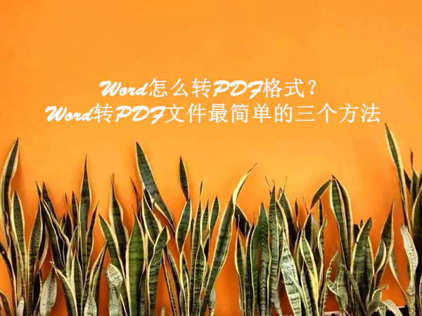 Word怎么转PDF格式？Word转PDF文件最简单的三个方法
