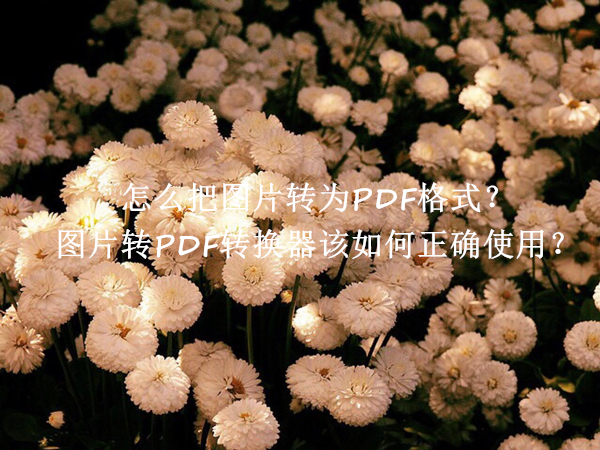 怎么把图片转为PDF格式？图片转PDF转换器该如何正确使用？