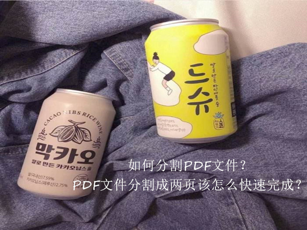 如何分割PDF文件？PDF文件分割成两页该怎么快速完成？