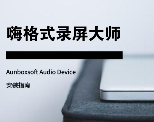 Aunboxsoft Audio Device