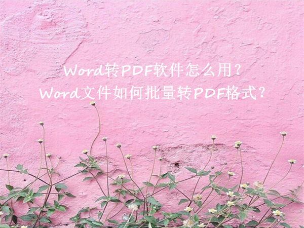 Word转PDF软件怎么用？Word文件如何批量转PDF格式？