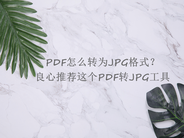 PDF怎么转为JPG格式？良心推荐这个PDF转JPG转换器
