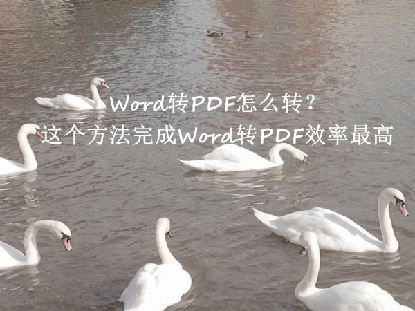 Word转PDF怎么转？这个方法完成Word转PDF效率最高
