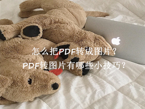 怎么把PDF转成图片？PDF转图片有哪些小技巧？