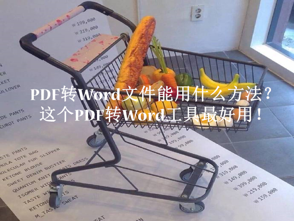 PDF转Word文件能用什么方法？这个PDF转Word工具最好用！