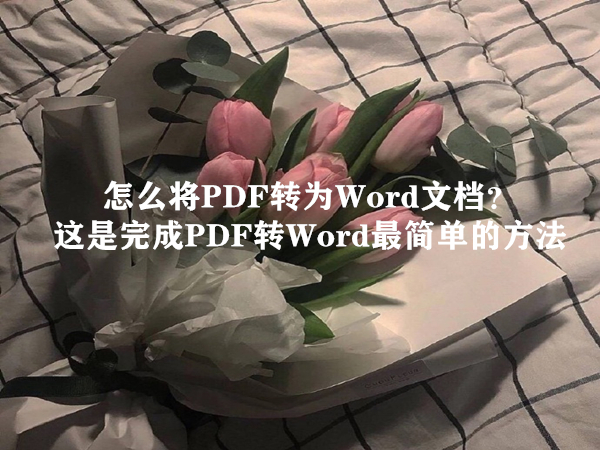 怎么将PDF转为Word文档？这是完成PDF转Word最简单的方法