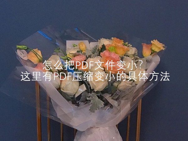 怎么把PDF文件变小？这里有PDF压缩变小的具体方法