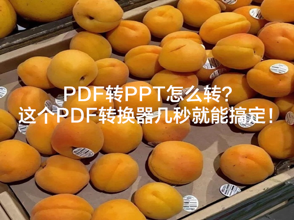 PDF转PPT怎么转？这个PDF转换器几秒就能搞定！