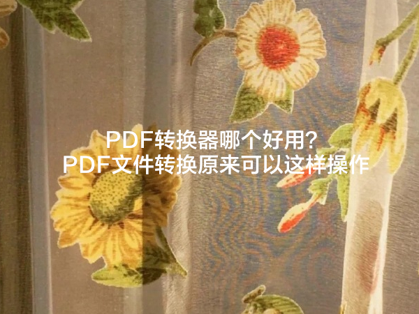 PDF转换器哪个好用？PDF文件转换原来可以这样操作