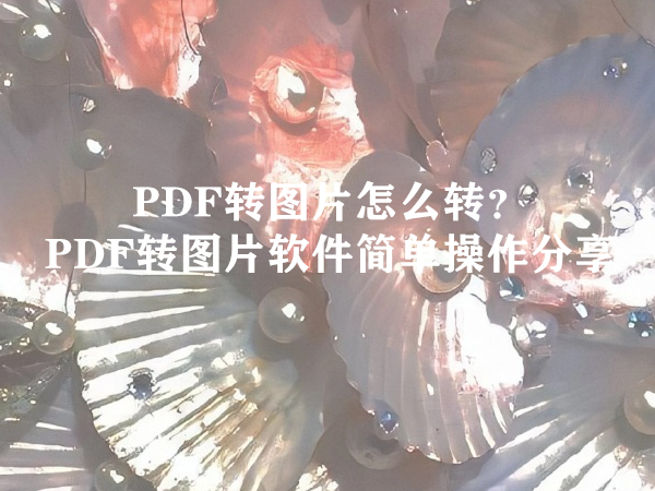 PDF转图片怎么转？PDF转图片软件简单操作分享