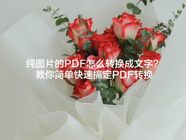 纯图片的PDF怎么转换成文字？教你简单快速搞定PDF转换