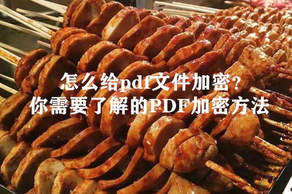 怎么给pdf文件加密？你需要了解的PDF加密方法