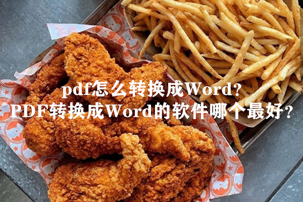 pdf怎么转换成Word？PDF转换成Word的软件哪个最好？