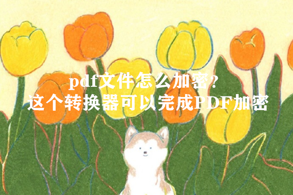 pdf文件怎么加密？这个转换器可以完成PDF加密