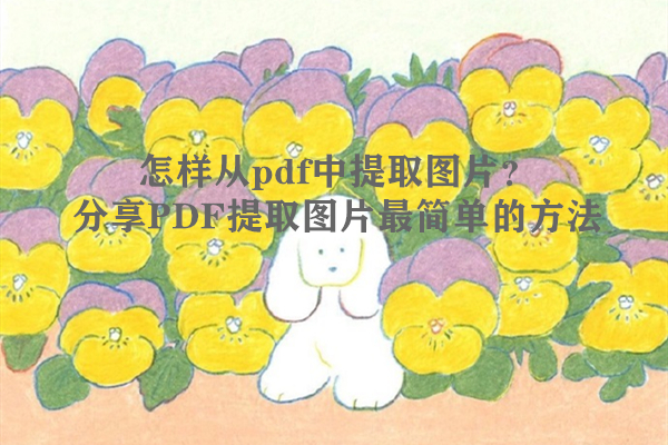 怎样从pdf中提取图片？分享PDF提取图片最简单的方法