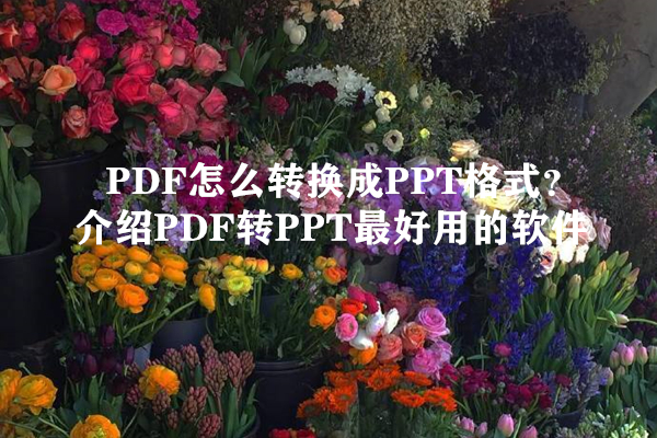 PDF怎么转换成PPT格式？介绍PDF转PPT最好用的软件