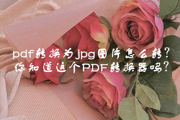 pdf转换为jpg图片怎么转？你知道这个PDF转换器吗？