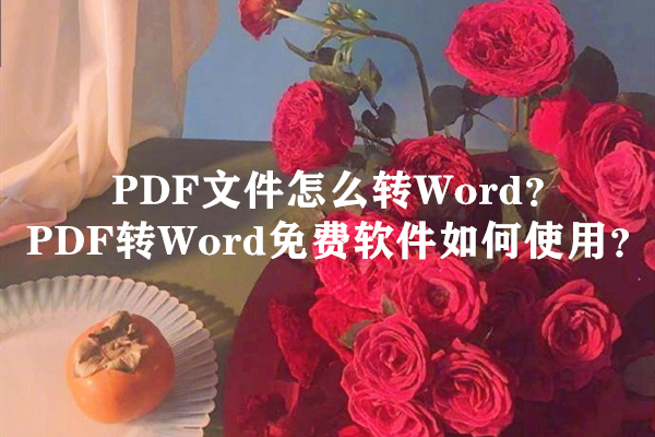 PDF文件怎么转Word？PDF转Word免费软件如何使用？