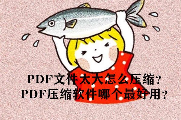 PDF文件太大怎么压缩？PDF压缩软件哪个最好用？