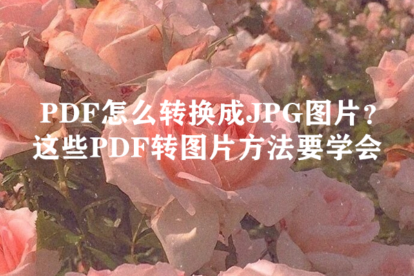 PDF怎么转换成JPG图片？这些PDF转图片方法要学会