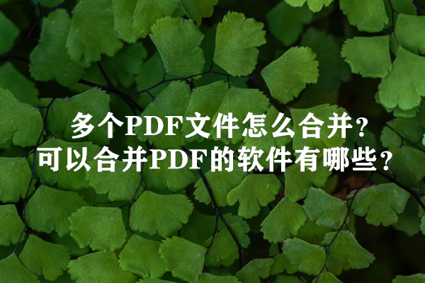 多个PDF文件怎么合并？可以合并PDF的软件有哪些？